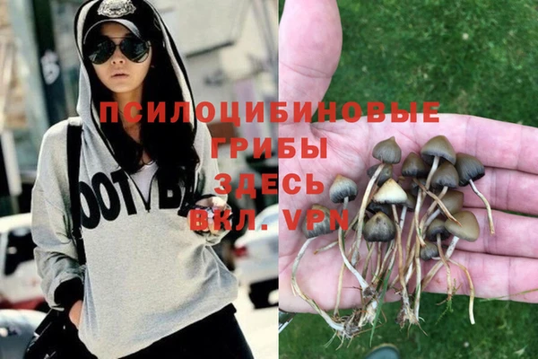 бутират Лиски