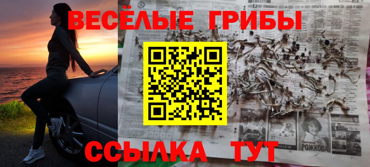 хочу   Вход с VPN  Псилоцибиновые грибы Psilocybe  Волгодонск  Псилоцибиновые грибы Cubensis 